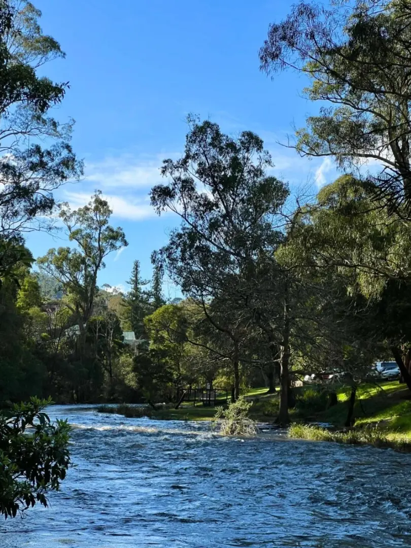 Melbourne这里的风景好美😍