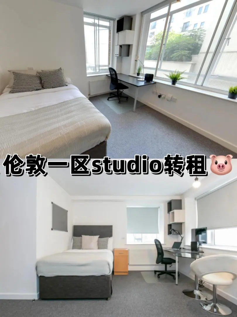 伦敦有无好心人接手我的studio/9月转🐷