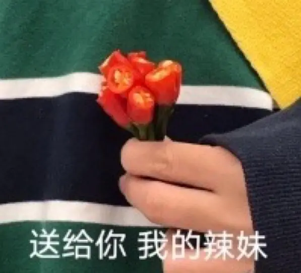 讓我康康在貓本哪個寶子還沒租好房子~