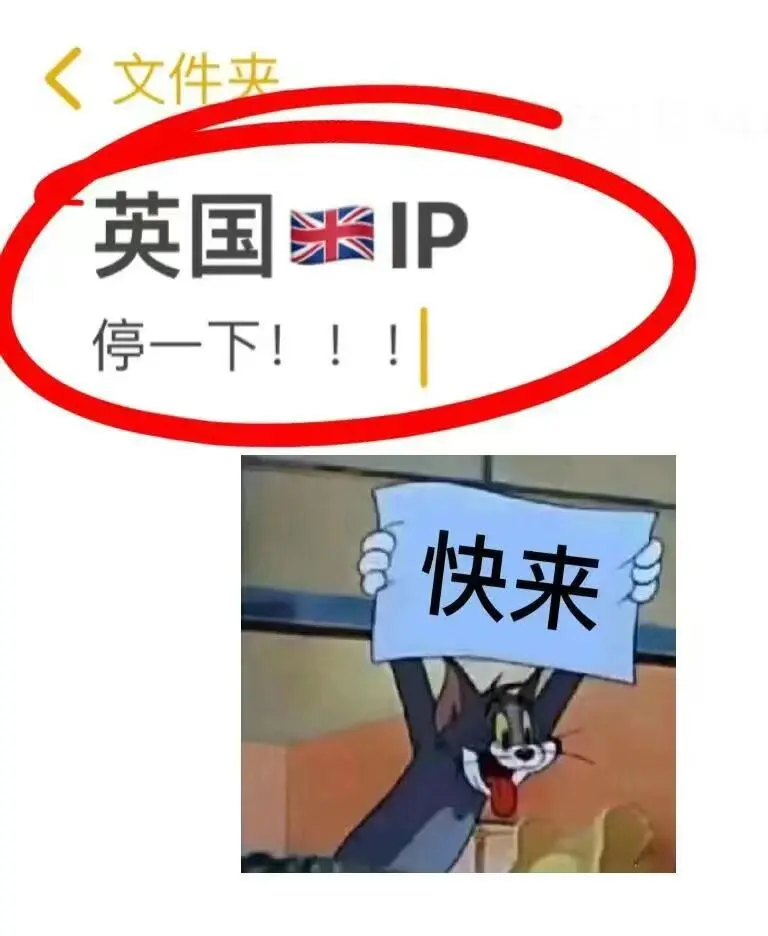 英国🇬🇧IP进