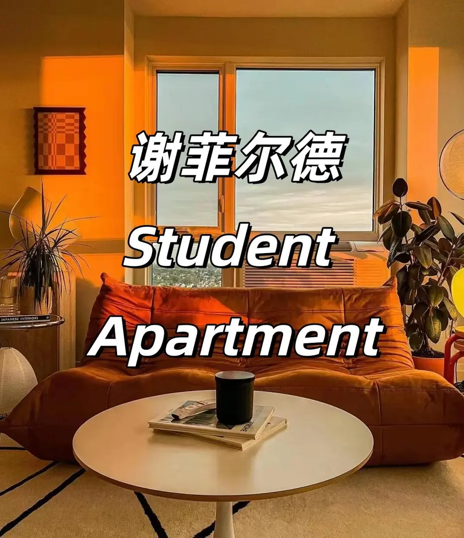 谢菲尔德Apartment篇（一）