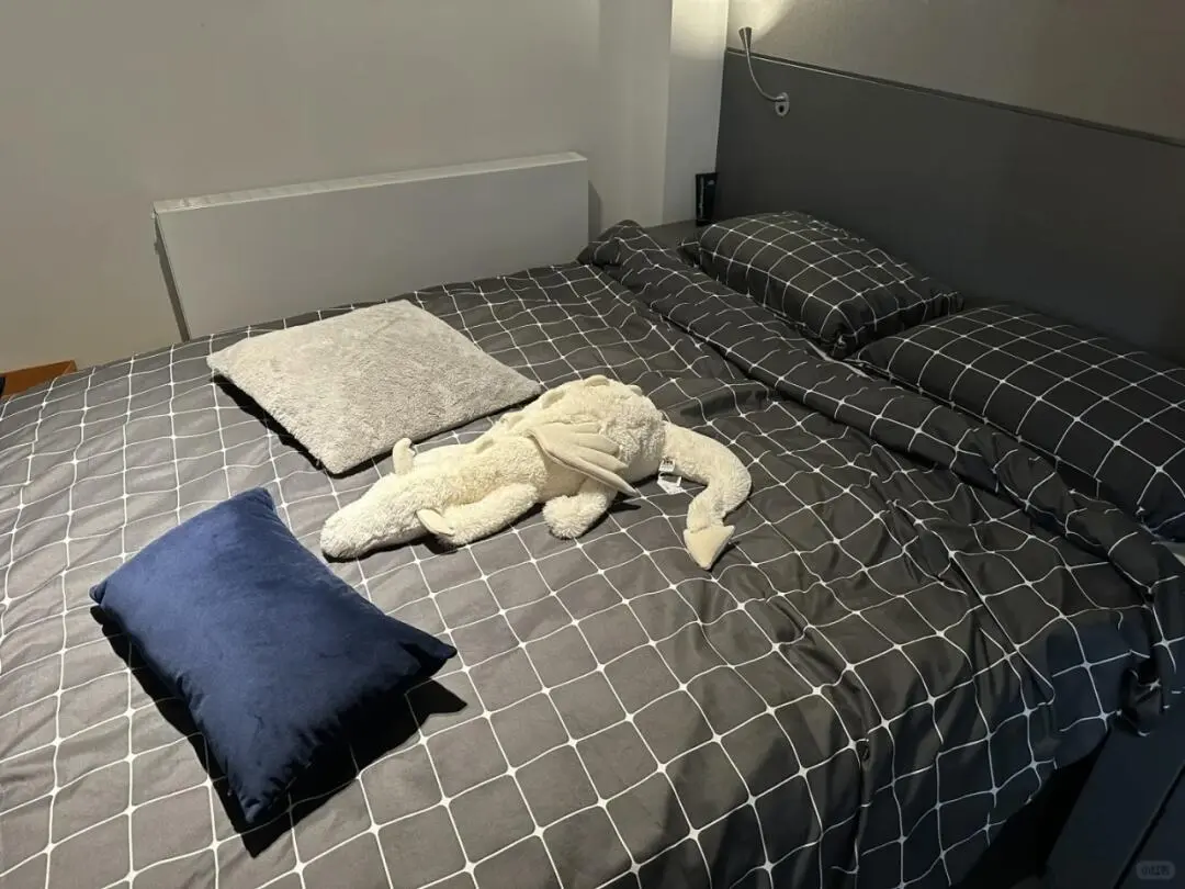 倫敦低價出studio，包家具帳單，俺要回去了