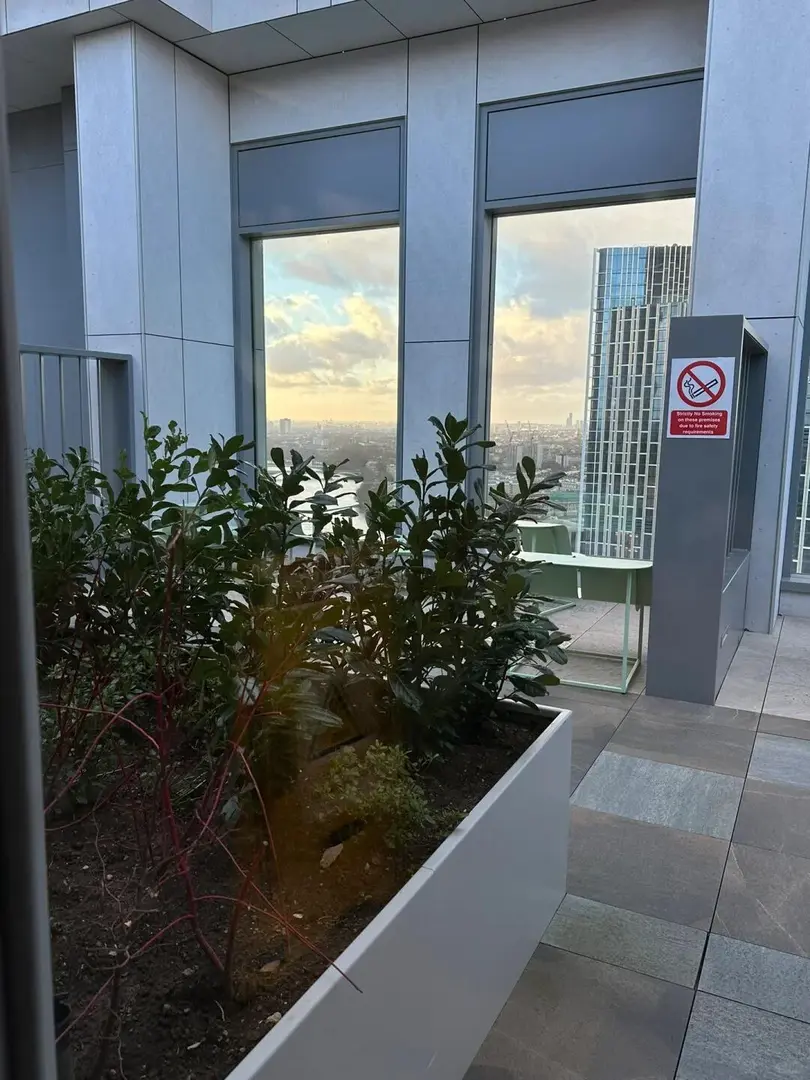 24fall 跟朋友一起住這個超美view的房子啦
