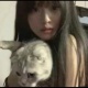 瞬間對布里斯班studio起了敬意...