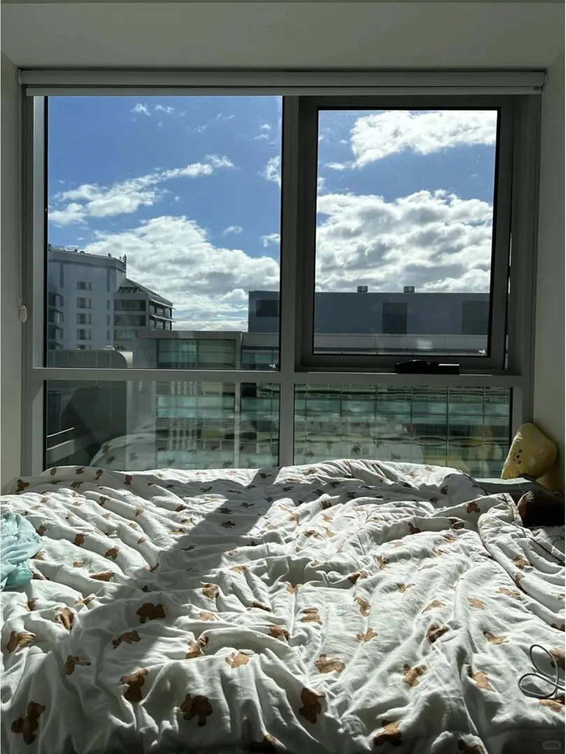 🇦🇺坎培拉住學校旁邊太爽了，高層美麗