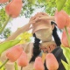 讓我康康誰還沒有見過mascot的1b😡