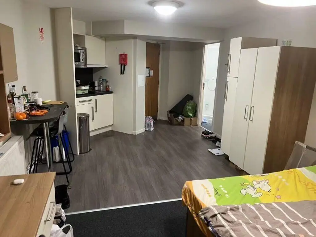 貓本3⃣️oo多的studio，這還不行嗎❓