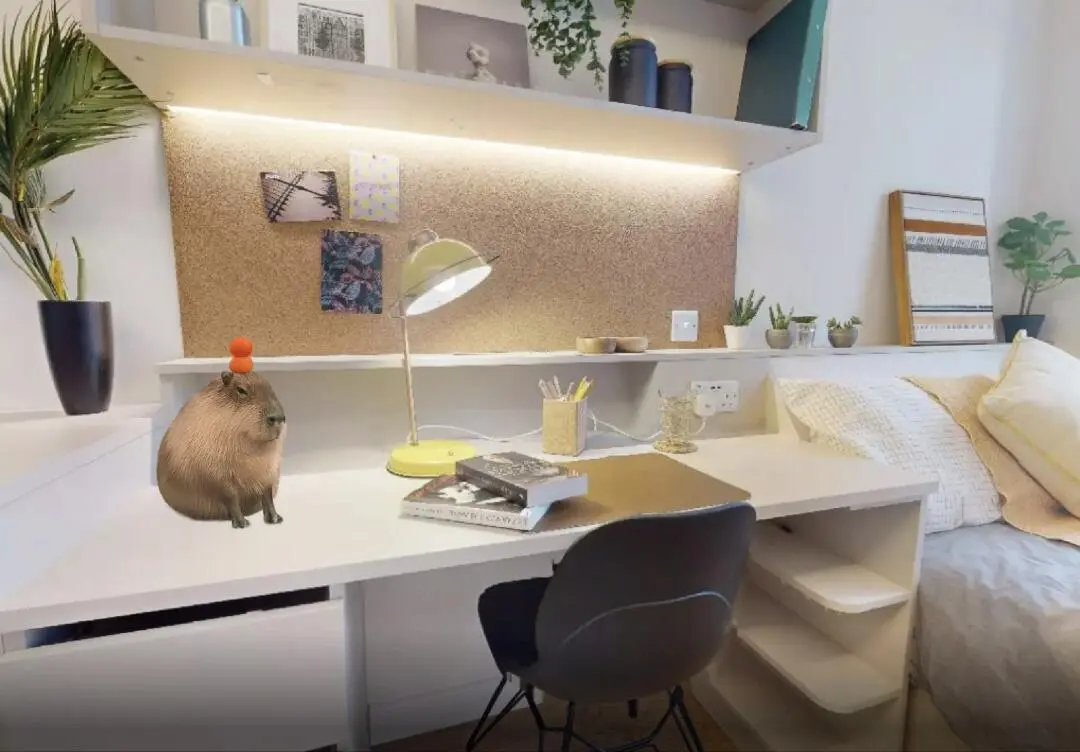 倫敦QM，步行5分，studio