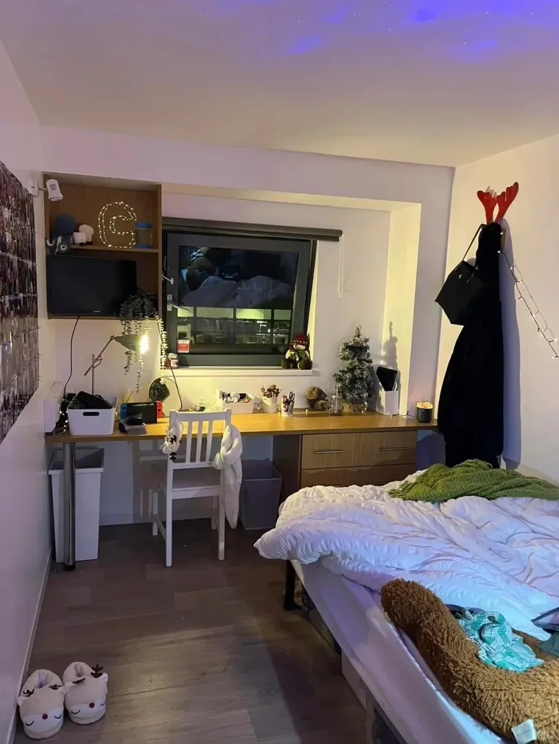 倫敦24fall這個價格找studio不香嗎