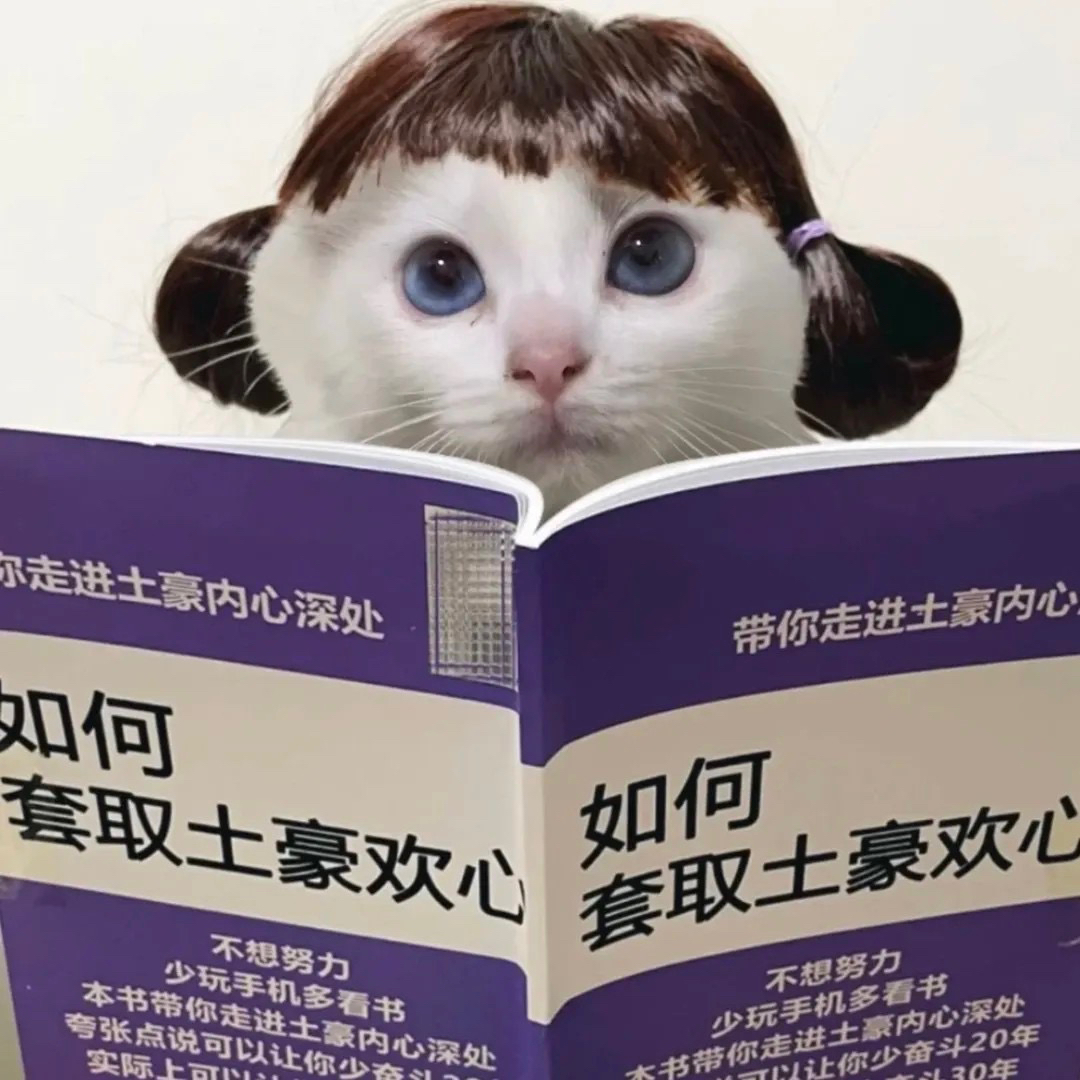 貓本像這種哪找的 