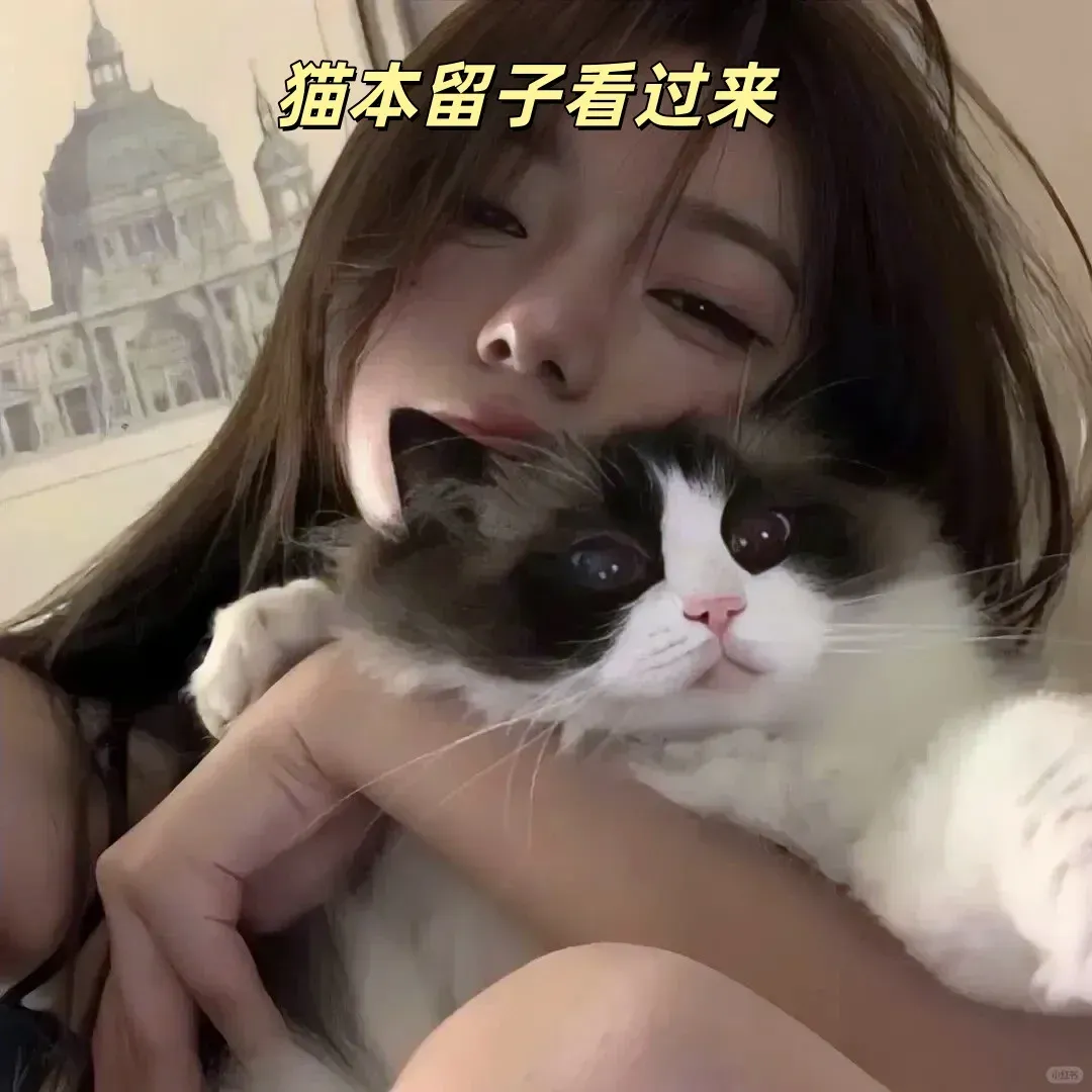 走過路過不要錯過，上人！