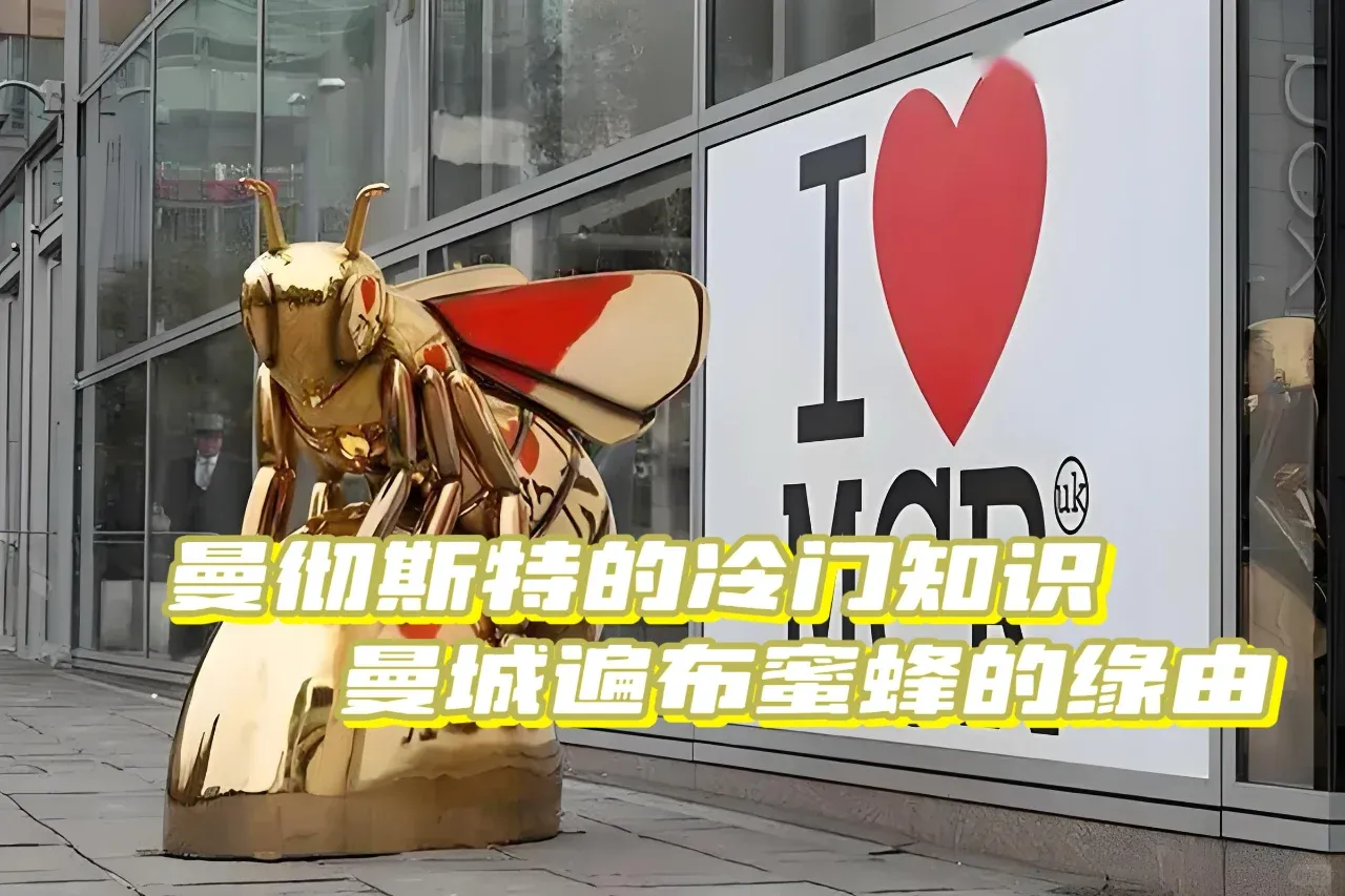 曼徹斯特的冷門知識：曼城遍布蜜蜂的緣由