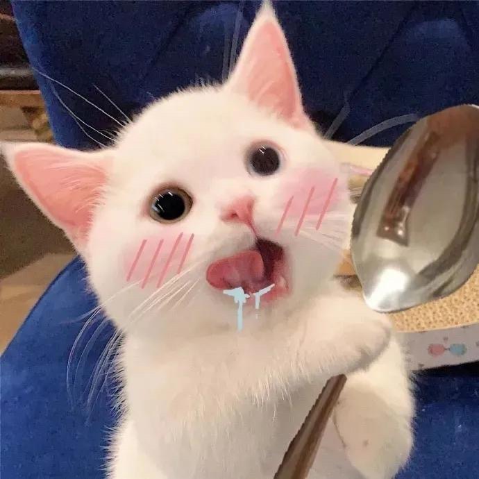 鍾愛陽光小房🥰 