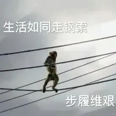 伯明罕轉一間Bv~ 
