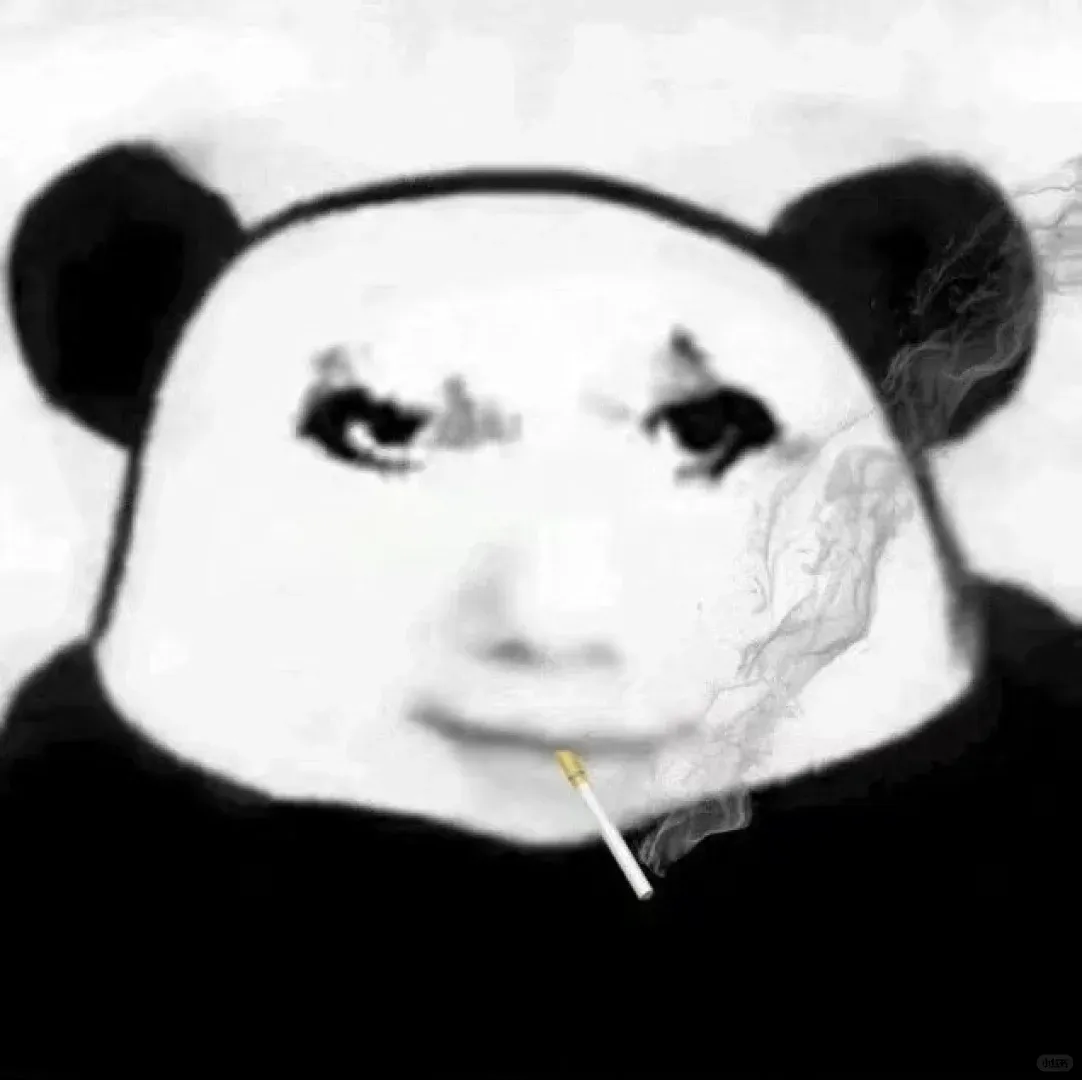 請問四百以內在貓本已經zu不到🏠了嗎❓