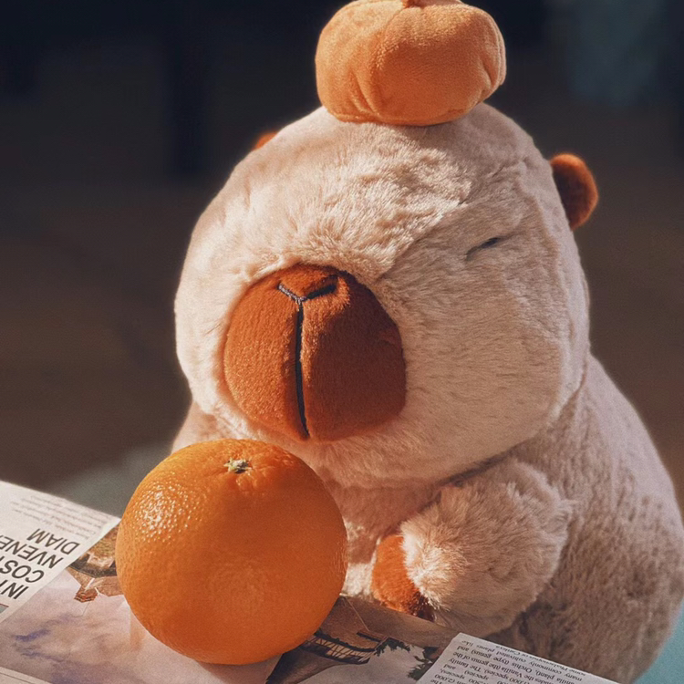 想問問阿德有沒有homeless😭