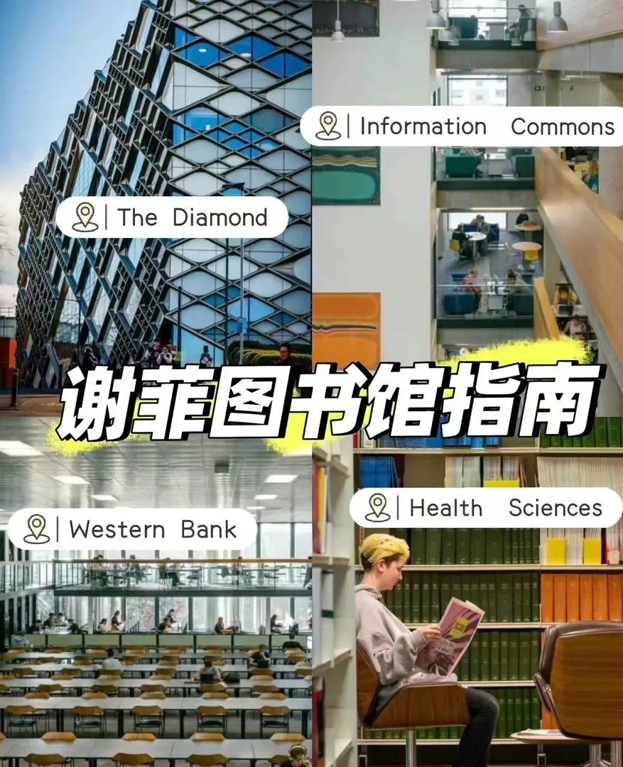 24fall謝菲，呆萌圖書館，想像中的樣子～