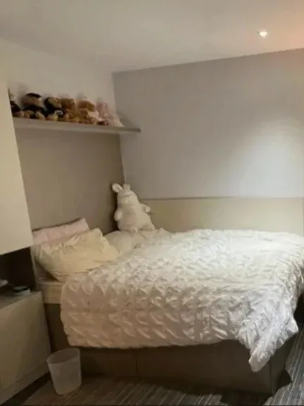 伯明罕求好心人接手😭伯大一室
