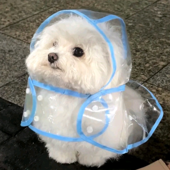 伯明罕Altura的studio轉租🧱！