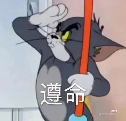 CV！！特價出！！！