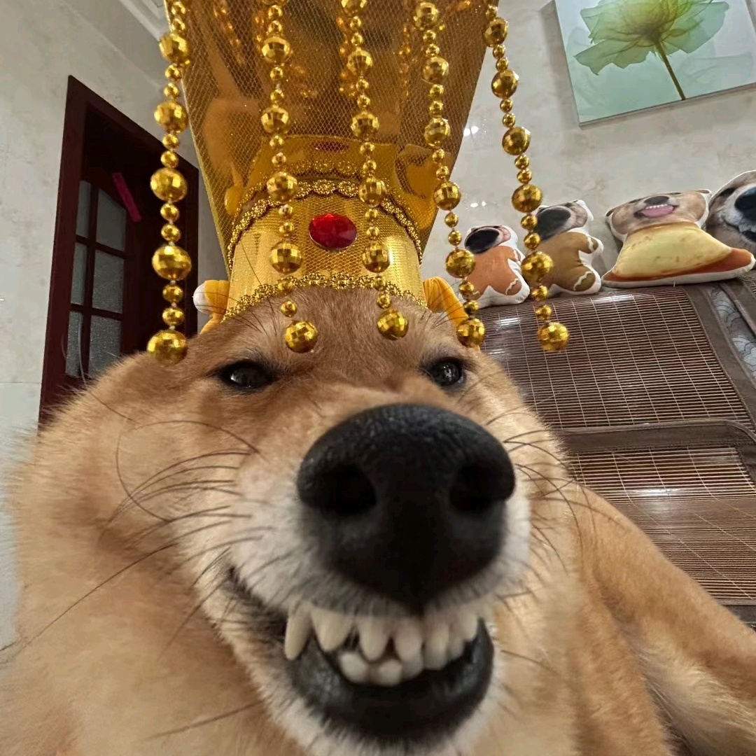 求！室！友！ 