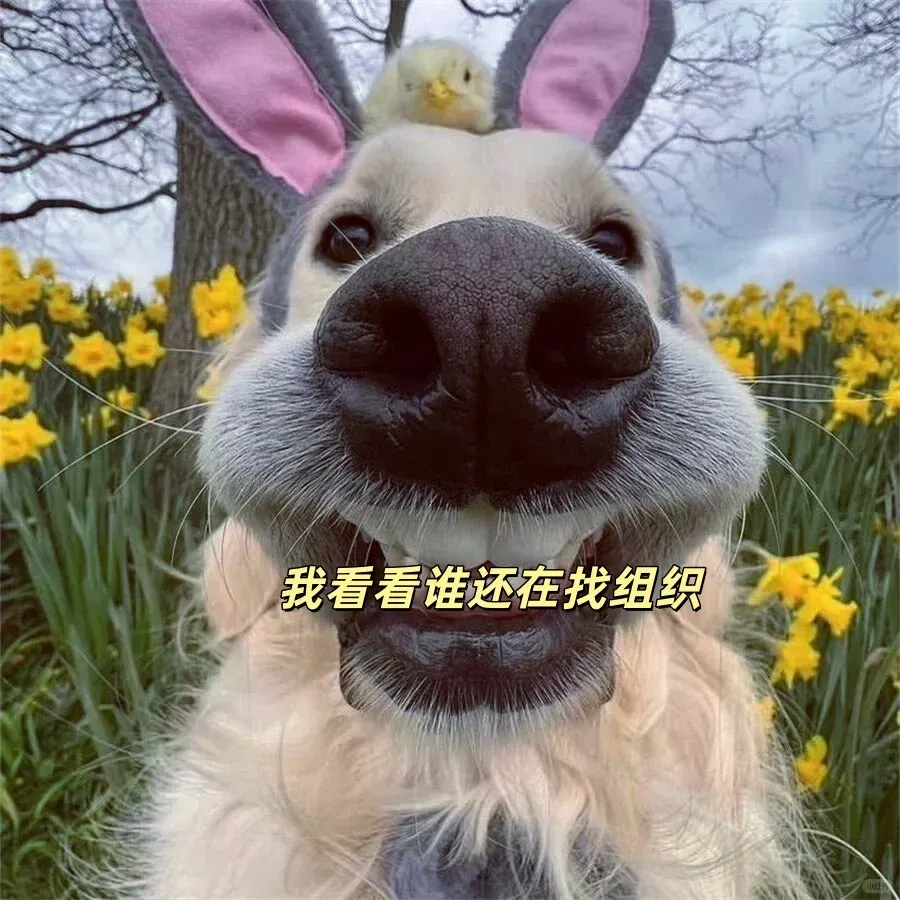 讓我看看！是誰！ 