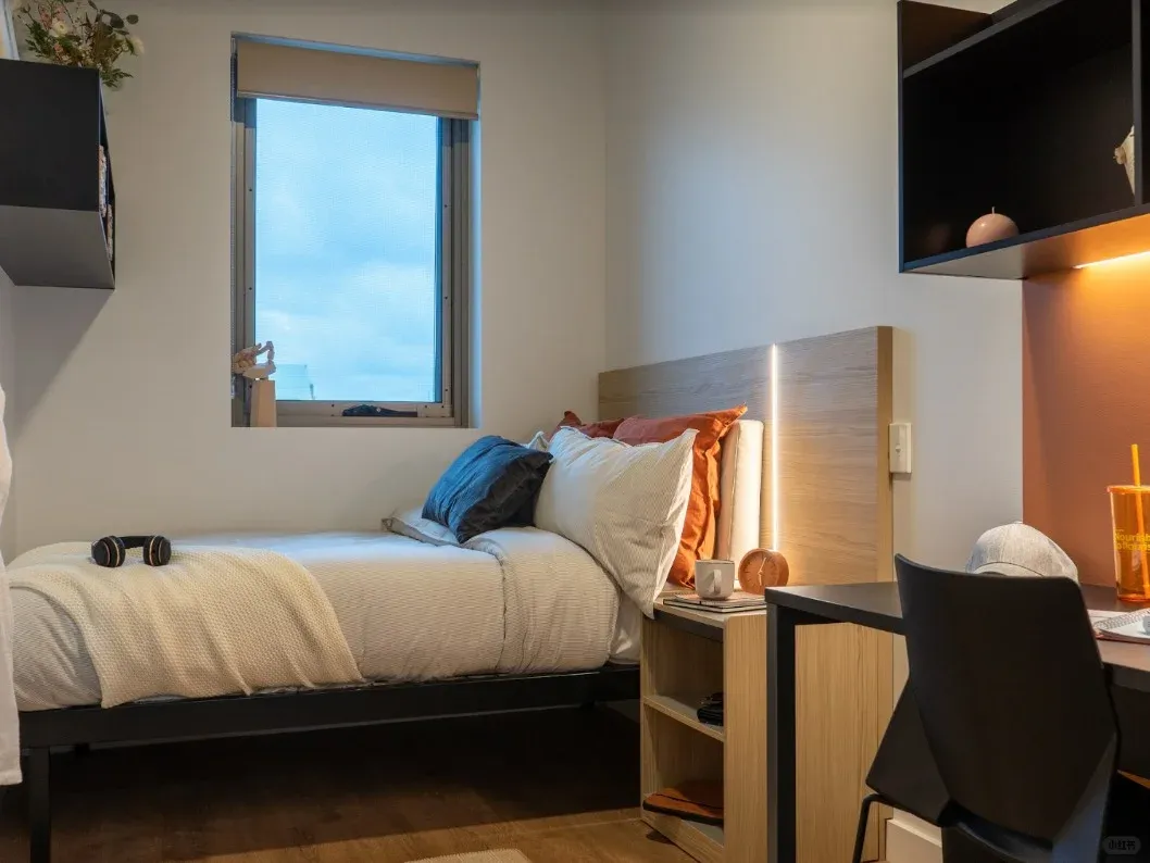 阿德萊德帶🏠蹲蹲室友～男女不限
