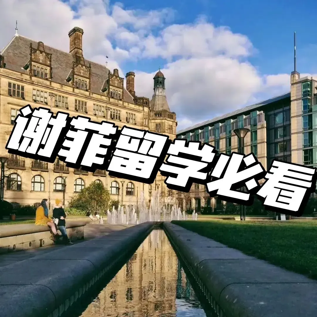 🇬🇧謝菲爾德，學校介紹，看這個足夠了