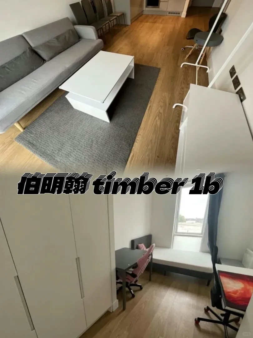 伯明罕 社會房源timber又又又來嘍！？