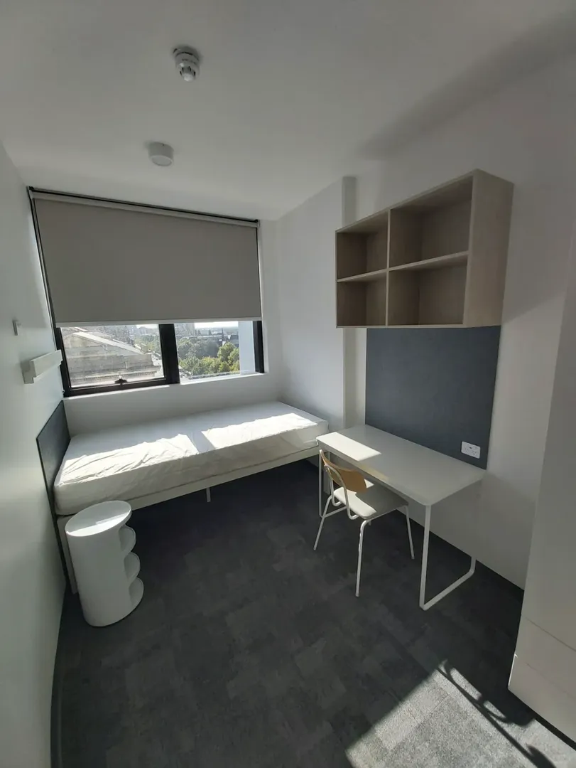 阿德萊德帶🏠蹲蹲室友～全包bills