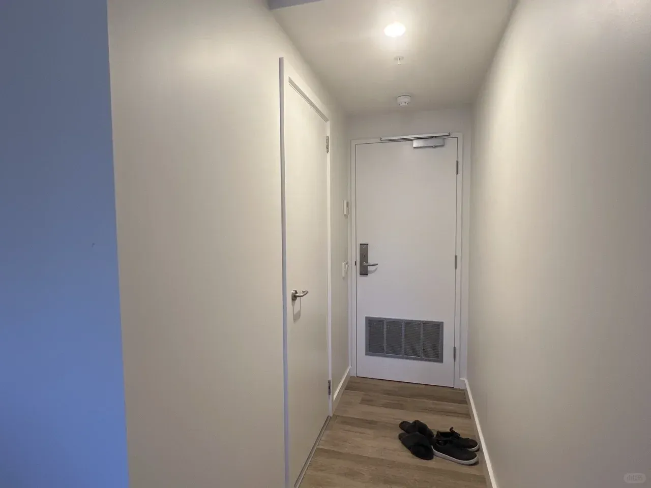 貓本距離墨大300米思丟丟🏘️