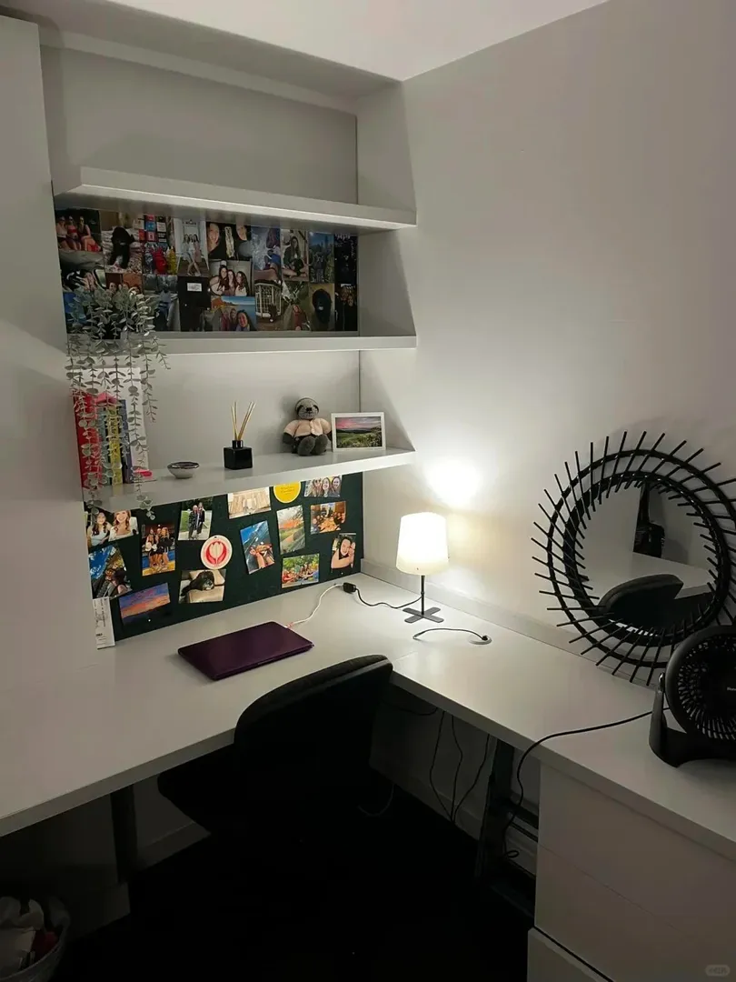 愛丁堡大學莫雷校區旁邊找室友，學校的宿舍
