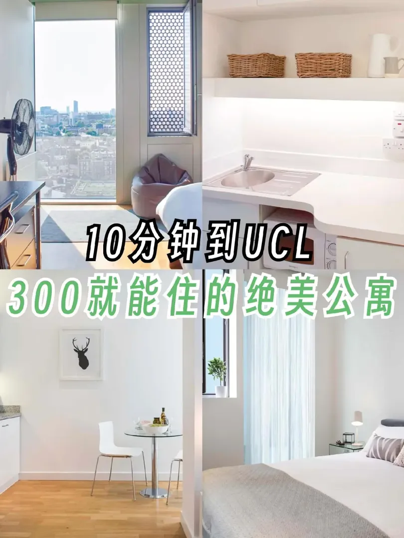 🇬🇧倫敦| 300💷的 舒適 Studio