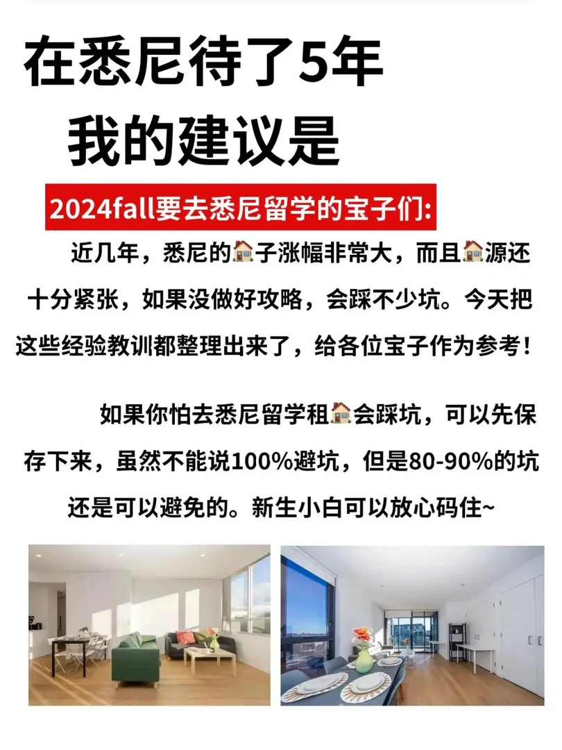 2024雪梨蹲室友|新人小白進