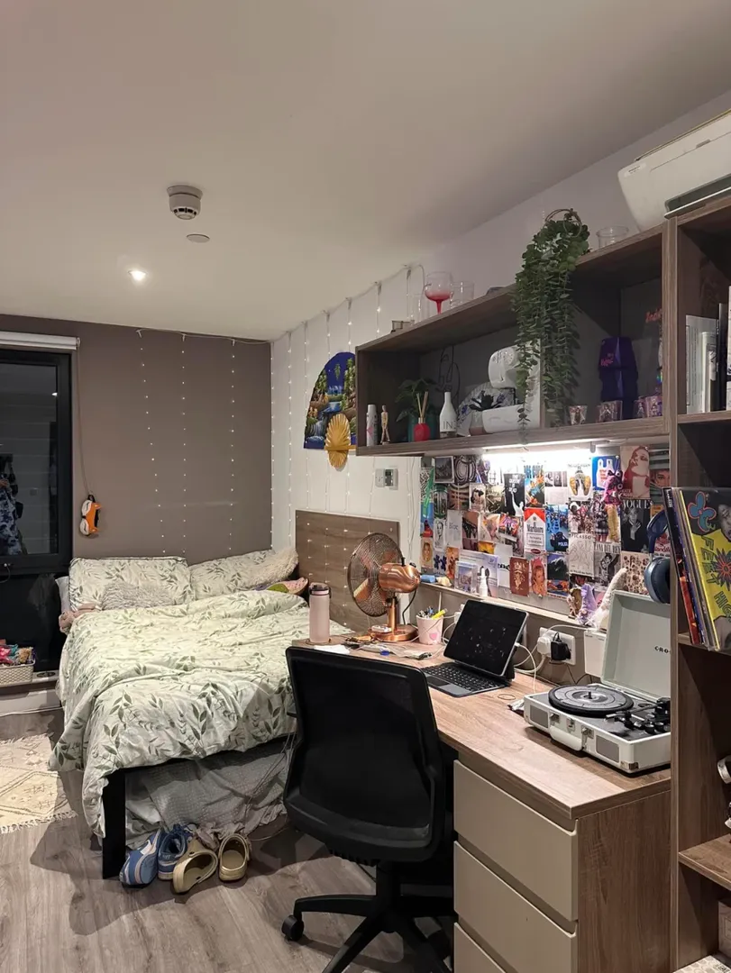 不是，伯明罕真沒人🐷我的studio嗎