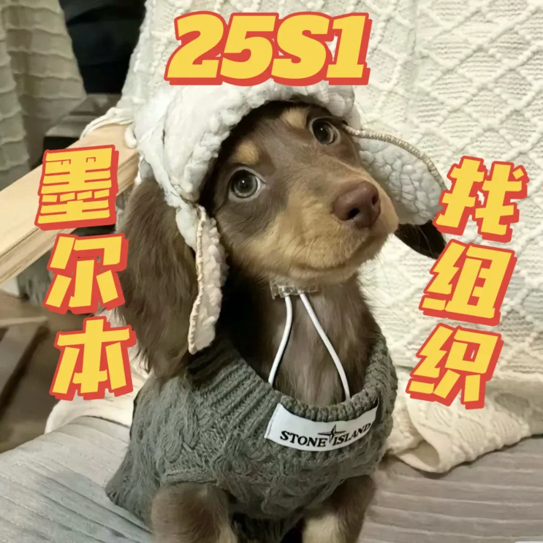 墨爾本🇦🇺新生uu快來玩鴨✨