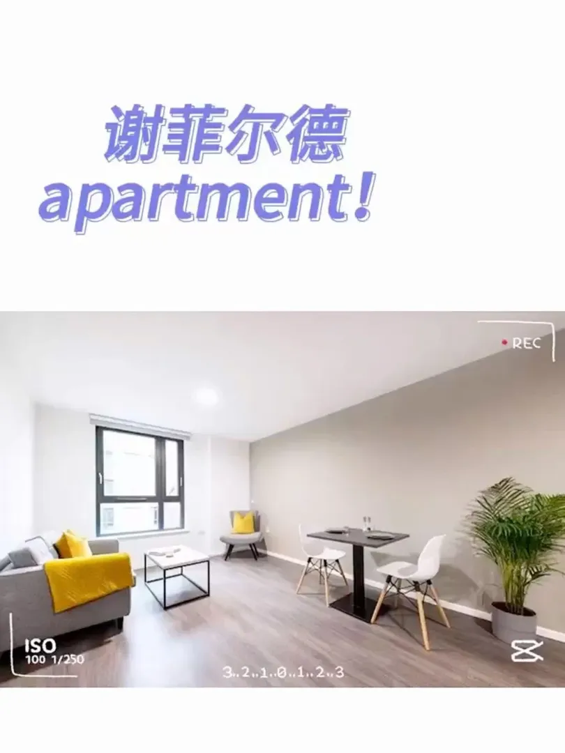謝菲爾德大學不看這個公寓我真的會傷心的～