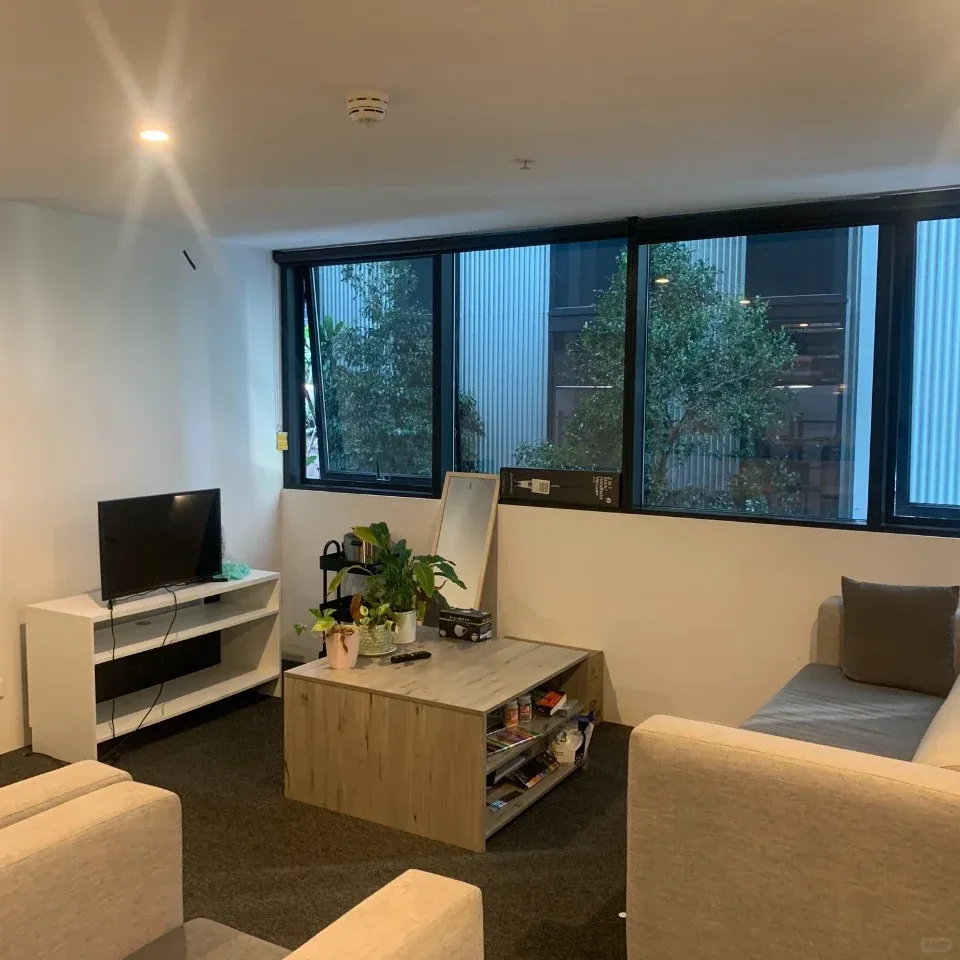 布里斯班southbank蹲蹲25S1室友