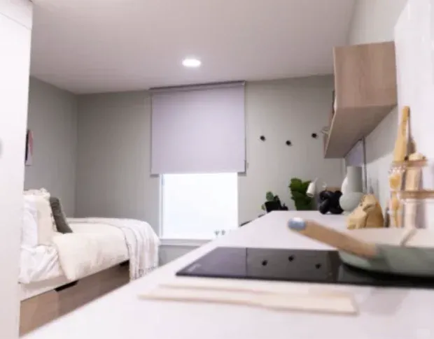 愛丁堡租房｜我的神仙房子Room tour🧚