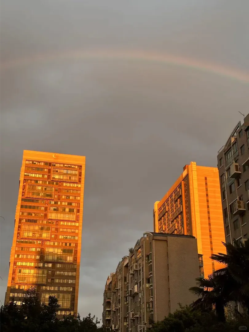 墨爾本彩虹🌈 