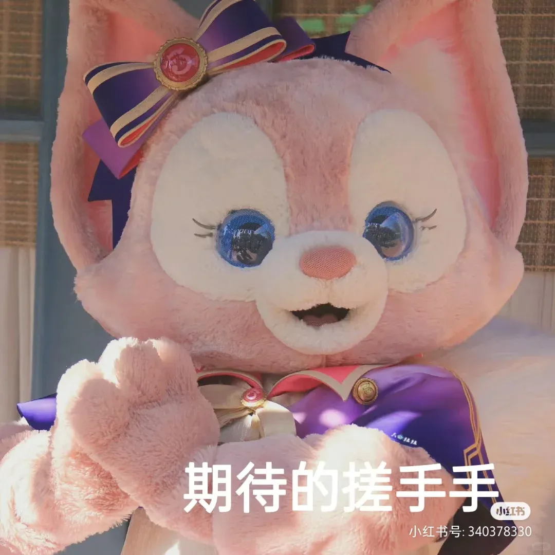 為每一個留子找到滿意的家！
