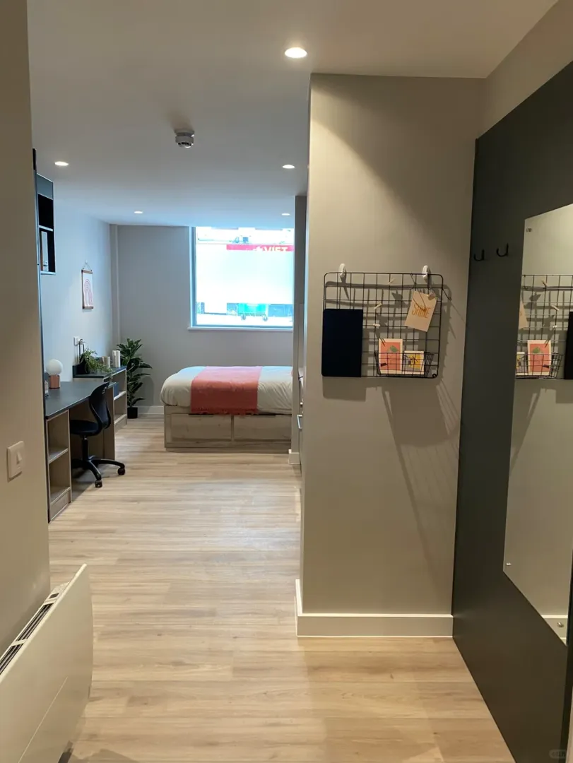 🥹含淚轉利茲市中心studio，199胖！