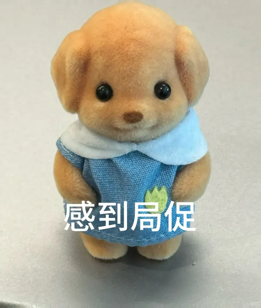 愛丁堡還有沒租到房的嗎