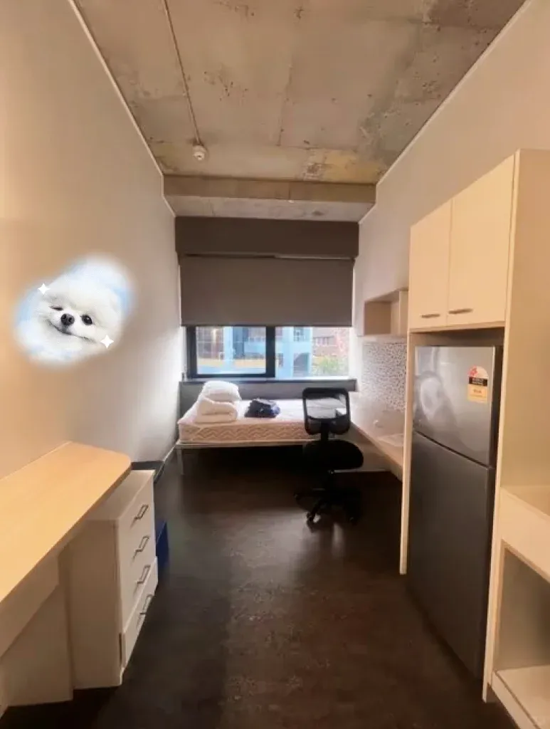 布里斯班免費校車直接到學校👀