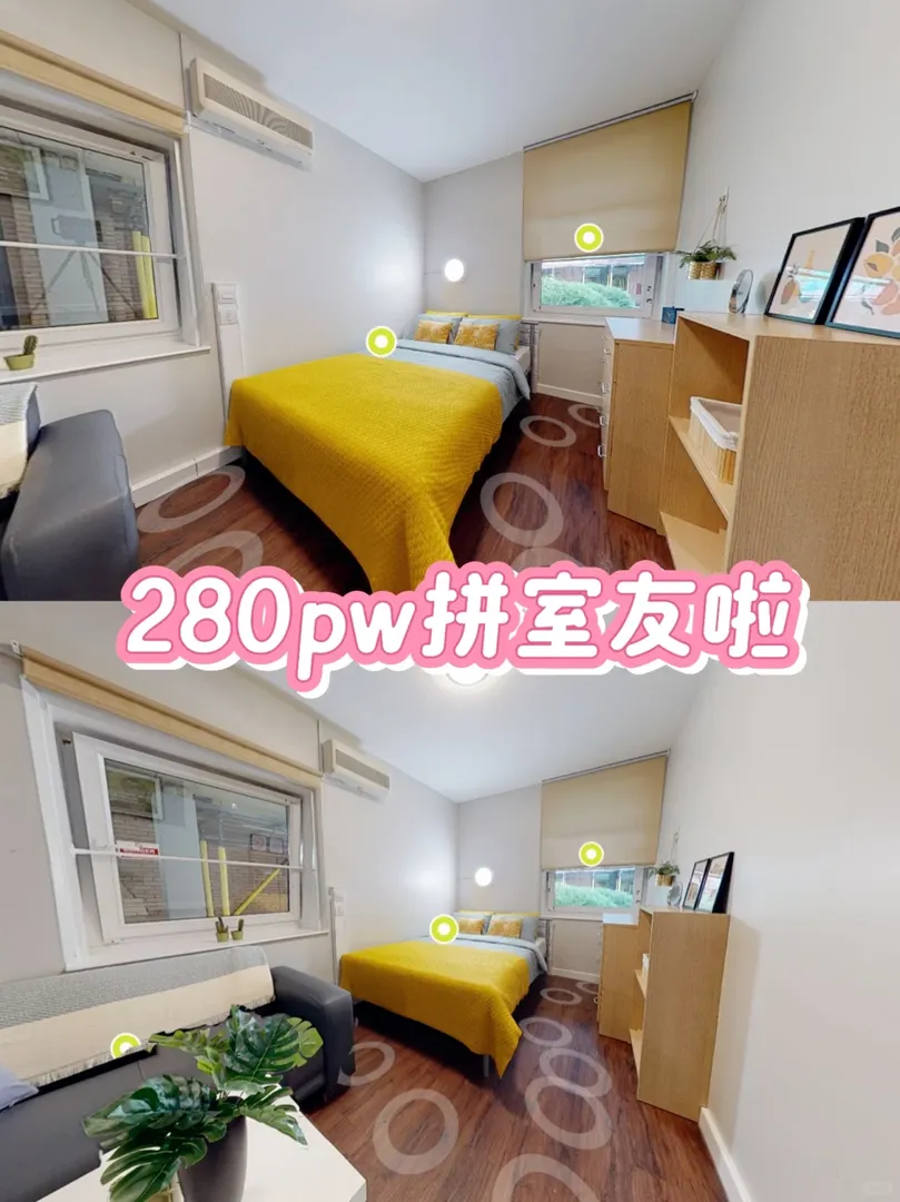 💒嗨！倫敦拼室友啦 ucl女生平均280pw