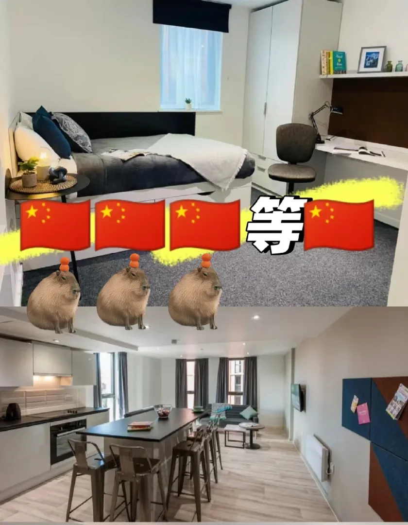 找室友3.0 