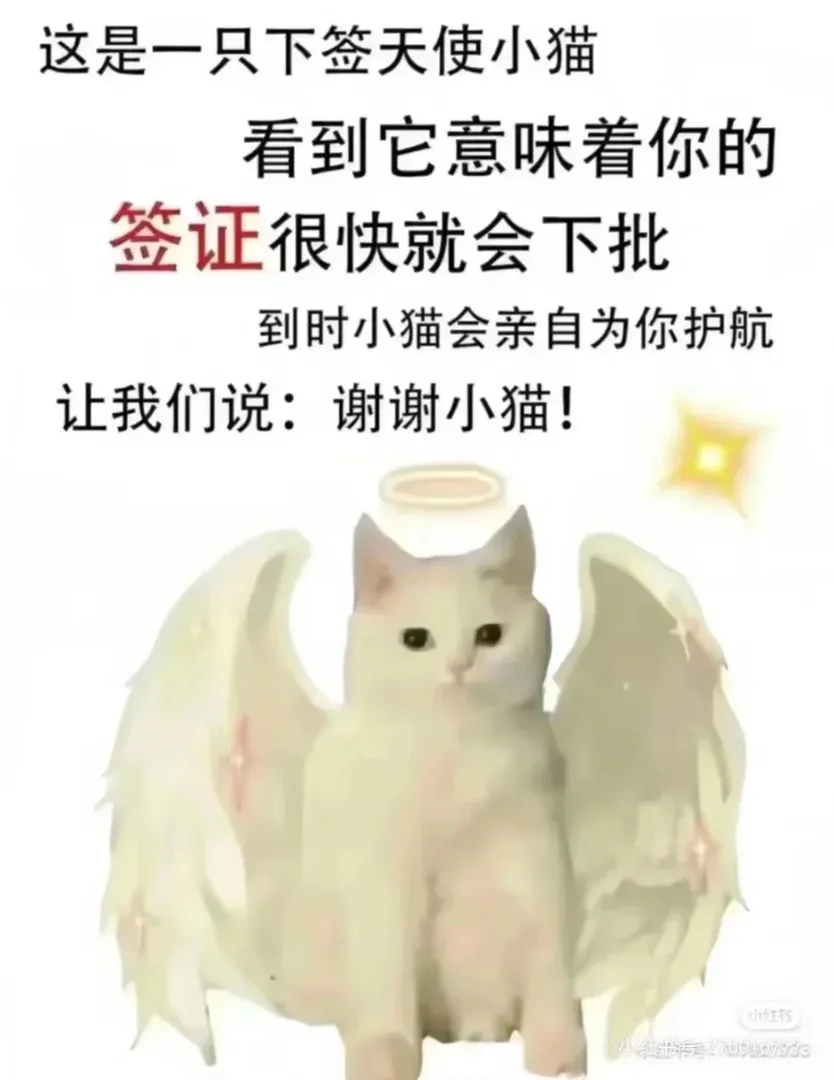 澳洲25s1大家都在幹嘛呢