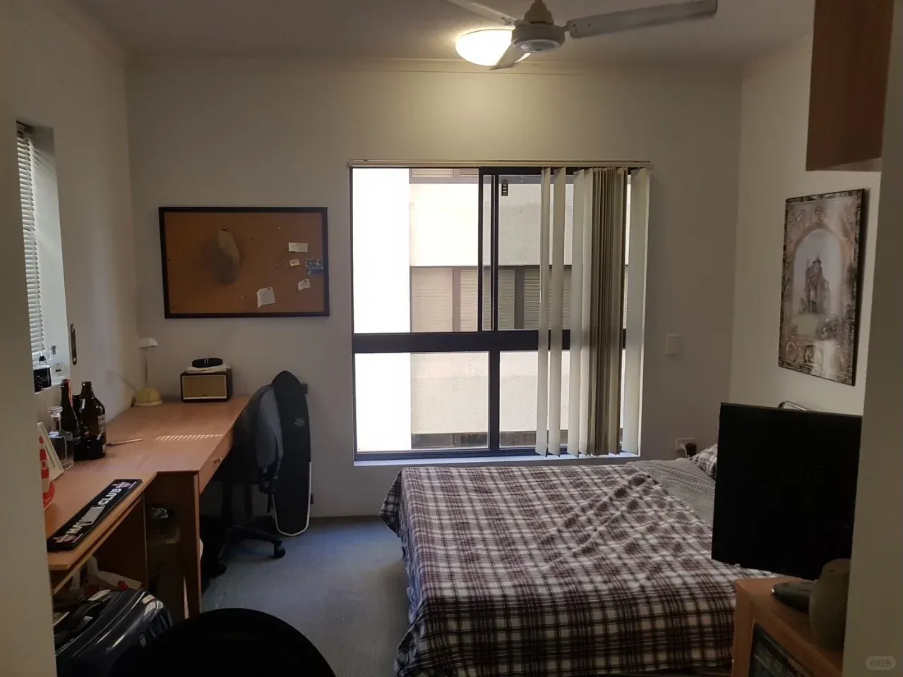 布里斯班UQ轉租studio～～