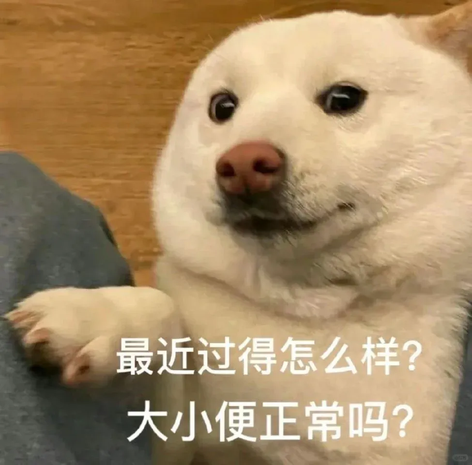 急急急急急急，True來來來！