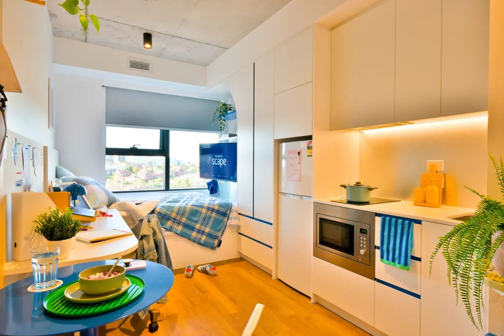 雪梨🏠25S1已開，Studio早鳥搶先看